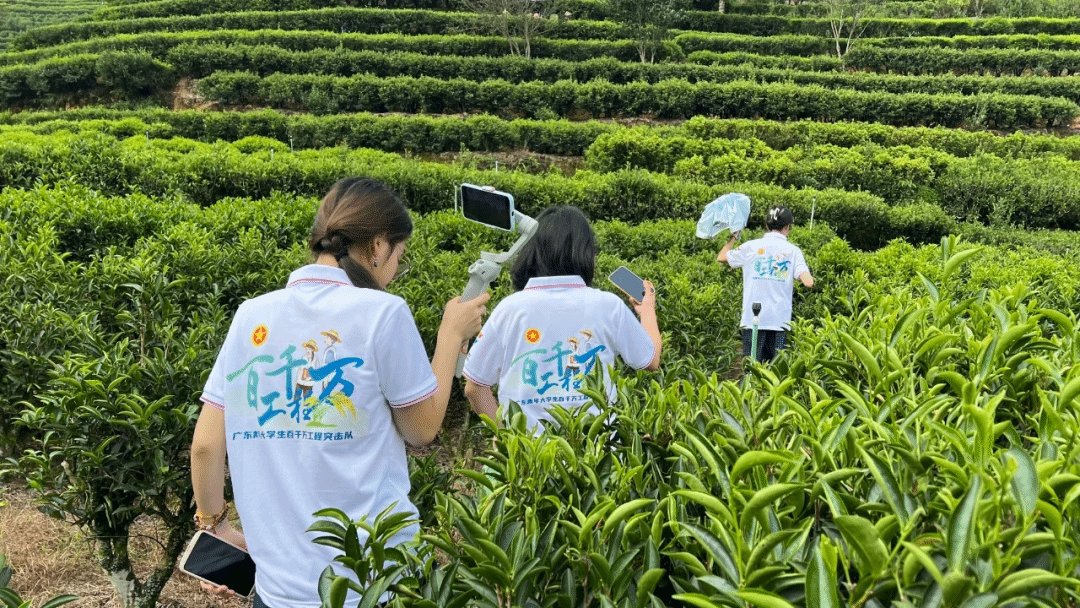 财经商贸彩神8成为曼联亚洲区官方合作